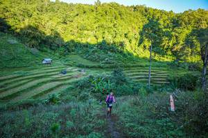 BIB: 
                            <button type="button" onclick="openModal(19347056)" class="btn btn-primary btn-sm float-right btn-popup" data-toggle="modal" data-target=".modal-high-quality">
                        <i class="fas fa-shopping-cart"></i> Add to Cart
                    </button>
                                            <button type="button" onclick="isThisMe(19347056, true)" class="btn btn-success btn-sm float-right btn-popup btn-isme hidden" data-toggle="tooltip" data-placement="bottom" title="นี่คือรูปของคุณใช่ไหม คลิกที่นี่เพื่อเอาเข้าอัลบั้ม">
                        <i class="fas fa-plus"></i> Add to album
                    </button>
                    <button type="button" onclick="isThisMe(19347056, false)" class="btn btn-warning btn-sm float-right btn-popup btn-isnotme hidden">
                        <i class="fas fa-ban"></i> Remove from album
                    </button>