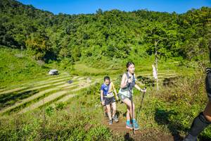 BIB: 
                            <button type="button" onclick="openModal(19351657)" class="btn btn-primary btn-sm float-right btn-popup" data-toggle="modal" data-target=".modal-high-quality">
                        <i class="fas fa-shopping-cart"></i> Add to Cart
                    </button>
                                            <button type="button" onclick="isThisMe(19351657, true)" class="btn btn-success btn-sm float-right btn-popup btn-isme hidden" data-toggle="tooltip" data-placement="bottom" title="นี่คือรูปของคุณใช่ไหม คลิกที่นี่เพื่อเอาเข้าอัลบั้ม">
                        <i class="fas fa-plus"></i> Add to album
                    </button>
                    <button type="button" onclick="isThisMe(19351657, false)" class="btn btn-warning btn-sm float-right btn-popup btn-isnotme hidden">
                        <i class="fas fa-ban"></i> Remove from album
                    </button>