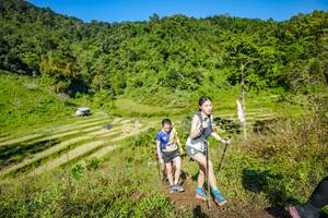 BIB: 
                            <button type="button" onclick="openModal(19351656)" class="btn btn-primary btn-sm float-right btn-popup" data-toggle="modal" data-target=".modal-high-quality">
                        <i class="fas fa-shopping-cart"></i> Add to Cart
                    </button>
                                            <button type="button" onclick="isThisMe(19351656, true)" class="btn btn-success btn-sm float-right btn-popup btn-isme hidden" data-toggle="tooltip" data-placement="bottom" title="นี่คือรูปของคุณใช่ไหม คลิกที่นี่เพื่อเอาเข้าอัลบั้ม">
                        <i class="fas fa-plus"></i> Add to album
                    </button>
                    <button type="button" onclick="isThisMe(19351656, false)" class="btn btn-warning btn-sm float-right btn-popup btn-isnotme hidden">
                        <i class="fas fa-ban"></i> Remove from album
                    </button>