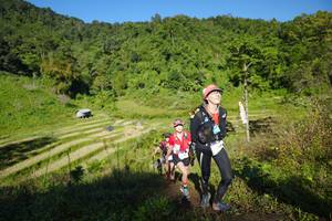 BIB: 
                            <button type="button" onclick="openModal(19097693)" class="btn btn-primary btn-sm float-right btn-popup" data-toggle="modal" data-target=".modal-high-quality">
                        <i class="fas fa-shopping-cart"></i> Add to Cart
                    </button>
                                            <button type="button" onclick="isThisMe(19097693, true)" class="btn btn-success btn-sm float-right btn-popup btn-isme hidden" data-toggle="tooltip" data-placement="bottom" title="นี่คือรูปของคุณใช่ไหม คลิกที่นี่เพื่อเอาเข้าอัลบั้ม">
                        <i class="fas fa-plus"></i> Add to album
                    </button>
                    <button type="button" onclick="isThisMe(19097693, false)" class="btn btn-warning btn-sm float-right btn-popup btn-isnotme hidden">
                        <i class="fas fa-ban"></i> Remove from album
                    </button>