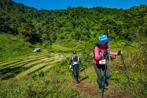 BIB: 
                            <button type="button" onclick="openModal(19344607)" class="btn btn-primary btn-sm float-right btn-popup" data-toggle="modal" data-target=".modal-high-quality">
                        <i class="fas fa-shopping-cart"></i> Add to Cart
                    </button>
                                            <button type="button" onclick="isThisMe(19344607, true)" class="btn btn-success btn-sm float-right btn-popup btn-isme hidden" data-toggle="tooltip" data-placement="bottom" title="นี่คือรูปของคุณใช่ไหม คลิกที่นี่เพื่อเอาเข้าอัลบั้ม">
                        <i class="fas fa-plus"></i> Add to album
                    </button>
                    <button type="button" onclick="isThisMe(19344607, false)" class="btn btn-warning btn-sm float-right btn-popup btn-isnotme hidden">
                        <i class="fas fa-ban"></i> Remove from album
                    </button>