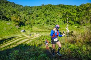 BIB: 
                            <button type="button" onclick="openModal(19350036)" class="btn btn-primary btn-sm float-right btn-popup" data-toggle="modal" data-target=".modal-high-quality">
                        <i class="fas fa-shopping-cart"></i> Add to Cart
                    </button>
                                            <button type="button" onclick="isThisMe(19350036, true)" class="btn btn-success btn-sm float-right btn-popup btn-isme hidden" data-toggle="tooltip" data-placement="bottom" title="นี่คือรูปของคุณใช่ไหม คลิกที่นี่เพื่อเอาเข้าอัลบั้ม">
                        <i class="fas fa-plus"></i> Add to album
                    </button>
                    <button type="button" onclick="isThisMe(19350036, false)" class="btn btn-warning btn-sm float-right btn-popup btn-isnotme hidden">
                        <i class="fas fa-ban"></i> Remove from album
                    </button>