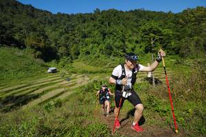 BIB: 
                            <button type="button" onclick="openModal(19097984)" class="btn btn-primary btn-sm float-right btn-popup" data-toggle="modal" data-target=".modal-high-quality">
                        <i class="fas fa-shopping-cart"></i> Add to Cart
                    </button>
                                            <button type="button" onclick="isThisMe(19097984, true)" class="btn btn-success btn-sm float-right btn-popup btn-isme hidden" data-toggle="tooltip" data-placement="bottom" title="นี่คือรูปของคุณใช่ไหม คลิกที่นี่เพื่อเอาเข้าอัลบั้ม">
                        <i class="fas fa-plus"></i> Add to album
                    </button>
                    <button type="button" onclick="isThisMe(19097984, false)" class="btn btn-warning btn-sm float-right btn-popup btn-isnotme hidden">
                        <i class="fas fa-ban"></i> Remove from album
                    </button>