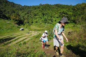 BIB: 
                            <button type="button" onclick="openModal(19081696)" class="btn btn-primary btn-sm float-right btn-popup" data-toggle="modal" data-target=".modal-high-quality">
                        <i class="fas fa-shopping-cart"></i> Add to Cart
                    </button>
                                            <button type="button" onclick="isThisMe(19081696, true)" class="btn btn-success btn-sm float-right btn-popup btn-isme hidden" data-toggle="tooltip" data-placement="bottom" title="นี่คือรูปของคุณใช่ไหม คลิกที่นี่เพื่อเอาเข้าอัลบั้ม">
                        <i class="fas fa-plus"></i> Add to album
                    </button>
                    <button type="button" onclick="isThisMe(19081696, false)" class="btn btn-warning btn-sm float-right btn-popup btn-isnotme hidden">
                        <i class="fas fa-ban"></i> Remove from album
                    </button>