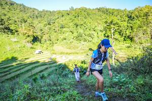 BIB: 
                            <button type="button" onclick="openModal(19348571)" class="btn btn-primary btn-sm float-right btn-popup" data-toggle="modal" data-target=".modal-high-quality">
                        <i class="fas fa-shopping-cart"></i> Add to Cart
                    </button>
                                            <button type="button" onclick="isThisMe(19348571, true)" class="btn btn-success btn-sm float-right btn-popup btn-isme hidden" data-toggle="tooltip" data-placement="bottom" title="นี่คือรูปของคุณใช่ไหม คลิกที่นี่เพื่อเอาเข้าอัลบั้ม">
                        <i class="fas fa-plus"></i> Add to album
                    </button>
                    <button type="button" onclick="isThisMe(19348571, false)" class="btn btn-warning btn-sm float-right btn-popup btn-isnotme hidden">
                        <i class="fas fa-ban"></i> Remove from album
                    </button>