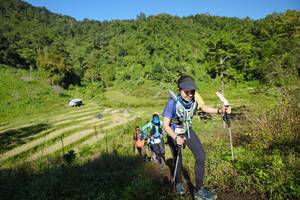 BIB: 
                            <button type="button" onclick="openModal(19097139)" class="btn btn-primary btn-sm float-right btn-popup" data-toggle="modal" data-target=".modal-high-quality">
                        <i class="fas fa-shopping-cart"></i> Add to Cart
                    </button>
                                            <button type="button" onclick="isThisMe(19097139, true)" class="btn btn-success btn-sm float-right btn-popup btn-isme hidden" data-toggle="tooltip" data-placement="bottom" title="นี่คือรูปของคุณใช่ไหม คลิกที่นี่เพื่อเอาเข้าอัลบั้ม">
                        <i class="fas fa-plus"></i> Add to album
                    </button>
                    <button type="button" onclick="isThisMe(19097139, false)" class="btn btn-warning btn-sm float-right btn-popup btn-isnotme hidden">
                        <i class="fas fa-ban"></i> Remove from album
                    </button>