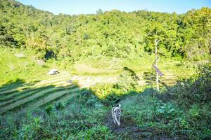 BIB: 
                            <button type="button" onclick="openModal(19348622)" class="btn btn-primary btn-sm float-right btn-popup" data-toggle="modal" data-target=".modal-high-quality">
                        <i class="fas fa-shopping-cart"></i> Add to Cart
                    </button>
                                            <button type="button" onclick="isThisMe(19348622, true)" class="btn btn-success btn-sm float-right btn-popup btn-isme hidden" data-toggle="tooltip" data-placement="bottom" title="นี่คือรูปของคุณใช่ไหม คลิกที่นี่เพื่อเอาเข้าอัลบั้ม">
                        <i class="fas fa-plus"></i> Add to album
                    </button>
                    <button type="button" onclick="isThisMe(19348622, false)" class="btn btn-warning btn-sm float-right btn-popup btn-isnotme hidden">
                        <i class="fas fa-ban"></i> Remove from album
                    </button>