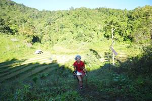 BIB: 
                            <button type="button" onclick="openModal(19080898)" class="btn btn-primary btn-sm float-right btn-popup" data-toggle="modal" data-target=".modal-high-quality">
                        <i class="fas fa-shopping-cart"></i> Add to Cart
                    </button>
                                            <button type="button" onclick="isThisMe(19080898, true)" class="btn btn-success btn-sm float-right btn-popup btn-isme hidden" data-toggle="tooltip" data-placement="bottom" title="นี่คือรูปของคุณใช่ไหม คลิกที่นี่เพื่อเอาเข้าอัลบั้ม">
                        <i class="fas fa-plus"></i> Add to album
                    </button>
                    <button type="button" onclick="isThisMe(19080898, false)" class="btn btn-warning btn-sm float-right btn-popup btn-isnotme hidden">
                        <i class="fas fa-ban"></i> Remove from album
                    </button>