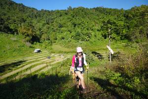 BIB: 
                            <button type="button" onclick="openModal(19094531)" class="btn btn-primary btn-sm float-right btn-popup" data-toggle="modal" data-target=".modal-high-quality">
                        <i class="fas fa-shopping-cart"></i> Add to Cart
                    </button>
                                            <button type="button" onclick="isThisMe(19094531, true)" class="btn btn-success btn-sm float-right btn-popup btn-isme hidden" data-toggle="tooltip" data-placement="bottom" title="นี่คือรูปของคุณใช่ไหม คลิกที่นี่เพื่อเอาเข้าอัลบั้ม">
                        <i class="fas fa-plus"></i> Add to album
                    </button>
                    <button type="button" onclick="isThisMe(19094531, false)" class="btn btn-warning btn-sm float-right btn-popup btn-isnotme hidden">
                        <i class="fas fa-ban"></i> Remove from album
                    </button>