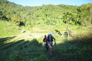 BIB: 
                            <button type="button" onclick="openModal(19083689)" class="btn btn-primary btn-sm float-right btn-popup" data-toggle="modal" data-target=".modal-high-quality">
                        <i class="fas fa-shopping-cart"></i> Add to Cart
                    </button>
                                            <button type="button" onclick="isThisMe(19083689, true)" class="btn btn-success btn-sm float-right btn-popup btn-isme hidden" data-toggle="tooltip" data-placement="bottom" title="นี่คือรูปของคุณใช่ไหม คลิกที่นี่เพื่อเอาเข้าอัลบั้ม">
                        <i class="fas fa-plus"></i> Add to album
                    </button>
                    <button type="button" onclick="isThisMe(19083689, false)" class="btn btn-warning btn-sm float-right btn-popup btn-isnotme hidden">
                        <i class="fas fa-ban"></i> Remove from album
                    </button>