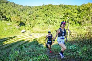 BIB: 
                            <button type="button" onclick="openModal(19349176)" class="btn btn-primary btn-sm float-right btn-popup" data-toggle="modal" data-target=".modal-high-quality">
                        <i class="fas fa-shopping-cart"></i> Add to Cart
                    </button>
                                            <button type="button" onclick="isThisMe(19349176, true)" class="btn btn-success btn-sm float-right btn-popup btn-isme hidden" data-toggle="tooltip" data-placement="bottom" title="นี่คือรูปของคุณใช่ไหม คลิกที่นี่เพื่อเอาเข้าอัลบั้ม">
                        <i class="fas fa-plus"></i> Add to album
                    </button>
                    <button type="button" onclick="isThisMe(19349176, false)" class="btn btn-warning btn-sm float-right btn-popup btn-isnotme hidden">
                        <i class="fas fa-ban"></i> Remove from album
                    </button>