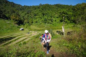 BIB: 
                            <button type="button" onclick="openModal(19075619)" class="btn btn-primary btn-sm float-right btn-popup" data-toggle="modal" data-target=".modal-high-quality">
                        <i class="fas fa-shopping-cart"></i> Add to Cart
                    </button>
                                            <button type="button" onclick="isThisMe(19075619, true)" class="btn btn-success btn-sm float-right btn-popup btn-isme hidden" data-toggle="tooltip" data-placement="bottom" title="นี่คือรูปของคุณใช่ไหม คลิกที่นี่เพื่อเอาเข้าอัลบั้ม">
                        <i class="fas fa-plus"></i> Add to album
                    </button>
                    <button type="button" onclick="isThisMe(19075619, false)" class="btn btn-warning btn-sm float-right btn-popup btn-isnotme hidden">
                        <i class="fas fa-ban"></i> Remove from album
                    </button>