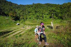 BIB: 
                            <button type="button" onclick="openModal(19079908)" class="btn btn-primary btn-sm float-right btn-popup" data-toggle="modal" data-target=".modal-high-quality">
                        <i class="fas fa-shopping-cart"></i> Add to Cart
                    </button>
                                            <button type="button" onclick="isThisMe(19079908, true)" class="btn btn-success btn-sm float-right btn-popup btn-isme hidden" data-toggle="tooltip" data-placement="bottom" title="นี่คือรูปของคุณใช่ไหม คลิกที่นี่เพื่อเอาเข้าอัลบั้ม">
                        <i class="fas fa-plus"></i> Add to album
                    </button>
                    <button type="button" onclick="isThisMe(19079908, false)" class="btn btn-warning btn-sm float-right btn-popup btn-isnotme hidden">
                        <i class="fas fa-ban"></i> Remove from album
                    </button>