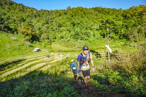 BIB: 
                            <button type="button" onclick="openModal(19350013)" class="btn btn-primary btn-sm float-right btn-popup" data-toggle="modal" data-target=".modal-high-quality">
                        <i class="fas fa-shopping-cart"></i> Add to Cart
                    </button>
                                            <button type="button" onclick="isThisMe(19350013, true)" class="btn btn-success btn-sm float-right btn-popup btn-isme hidden" data-toggle="tooltip" data-placement="bottom" title="นี่คือรูปของคุณใช่ไหม คลิกที่นี่เพื่อเอาเข้าอัลบั้ม">
                        <i class="fas fa-plus"></i> Add to album
                    </button>
                    <button type="button" onclick="isThisMe(19350013, false)" class="btn btn-warning btn-sm float-right btn-popup btn-isnotme hidden">
                        <i class="fas fa-ban"></i> Remove from album
                    </button>