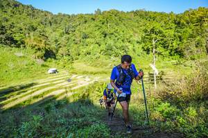 BIB: 
                            <button type="button" onclick="openModal(19349595)" class="btn btn-primary btn-sm float-right btn-popup" data-toggle="modal" data-target=".modal-high-quality">
                        <i class="fas fa-shopping-cart"></i> Add to Cart
                    </button>
                                            <button type="button" onclick="isThisMe(19349595, true)" class="btn btn-success btn-sm float-right btn-popup btn-isme hidden" data-toggle="tooltip" data-placement="bottom" title="นี่คือรูปของคุณใช่ไหม คลิกที่นี่เพื่อเอาเข้าอัลบั้ม">
                        <i class="fas fa-plus"></i> Add to album
                    </button>
                    <button type="button" onclick="isThisMe(19349595, false)" class="btn btn-warning btn-sm float-right btn-popup btn-isnotme hidden">
                        <i class="fas fa-ban"></i> Remove from album
                    </button>