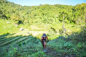 BIB: 
                            <button type="button" onclick="openModal(19348728)" class="btn btn-primary btn-sm float-right btn-popup" data-toggle="modal" data-target=".modal-high-quality">
                        <i class="fas fa-shopping-cart"></i> Add to Cart
                    </button>
                                            <button type="button" onclick="isThisMe(19348728, true)" class="btn btn-success btn-sm float-right btn-popup btn-isme hidden" data-toggle="tooltip" data-placement="bottom" title="นี่คือรูปของคุณใช่ไหม คลิกที่นี่เพื่อเอาเข้าอัลบั้ม">
                        <i class="fas fa-plus"></i> Add to album
                    </button>
                    <button type="button" onclick="isThisMe(19348728, false)" class="btn btn-warning btn-sm float-right btn-popup btn-isnotme hidden">
                        <i class="fas fa-ban"></i> Remove from album
                    </button>