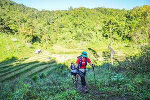 BIB: 
                            <button type="button" onclick="openModal(19348632)" class="btn btn-primary btn-sm float-right btn-popup" data-toggle="modal" data-target=".modal-high-quality">
                        <i class="fas fa-shopping-cart"></i> Add to Cart
                    </button>
                                            <button type="button" onclick="isThisMe(19348632, true)" class="btn btn-success btn-sm float-right btn-popup btn-isme hidden" data-toggle="tooltip" data-placement="bottom" title="นี่คือรูปของคุณใช่ไหม คลิกที่นี่เพื่อเอาเข้าอัลบั้ม">
                        <i class="fas fa-plus"></i> Add to album
                    </button>
                    <button type="button" onclick="isThisMe(19348632, false)" class="btn btn-warning btn-sm float-right btn-popup btn-isnotme hidden">
                        <i class="fas fa-ban"></i> Remove from album
                    </button>