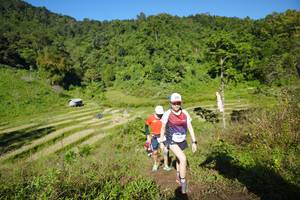 BIB: 
                            <button type="button" onclick="openModal(19107024)" class="btn btn-primary btn-sm float-right btn-popup" data-toggle="modal" data-target=".modal-high-quality">
                        <i class="fas fa-shopping-cart"></i> Add to Cart
                    </button>
                                            <button type="button" onclick="isThisMe(19107024, true)" class="btn btn-success btn-sm float-right btn-popup btn-isme hidden" data-toggle="tooltip" data-placement="bottom" title="นี่คือรูปของคุณใช่ไหม คลิกที่นี่เพื่อเอาเข้าอัลบั้ม">
                        <i class="fas fa-plus"></i> Add to album
                    </button>
                    <button type="button" onclick="isThisMe(19107024, false)" class="btn btn-warning btn-sm float-right btn-popup btn-isnotme hidden">
                        <i class="fas fa-ban"></i> Remove from album
                    </button>