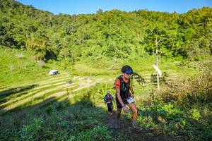 BIB: 
                            <button type="button" onclick="openModal(19349539)" class="btn btn-primary btn-sm float-right btn-popup" data-toggle="modal" data-target=".modal-high-quality">
                        <i class="fas fa-shopping-cart"></i> Add to Cart
                    </button>
                                            <button type="button" onclick="isThisMe(19349539, true)" class="btn btn-success btn-sm float-right btn-popup btn-isme hidden" data-toggle="tooltip" data-placement="bottom" title="นี่คือรูปของคุณใช่ไหม คลิกที่นี่เพื่อเอาเข้าอัลบั้ม">
                        <i class="fas fa-plus"></i> Add to album
                    </button>
                    <button type="button" onclick="isThisMe(19349539, false)" class="btn btn-warning btn-sm float-right btn-popup btn-isnotme hidden">
                        <i class="fas fa-ban"></i> Remove from album
                    </button>