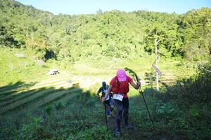 BIB: 
                            <button type="button" onclick="openModal(19081199)" class="btn btn-primary btn-sm float-right btn-popup" data-toggle="modal" data-target=".modal-high-quality">
                        <i class="fas fa-shopping-cart"></i> Add to Cart
                    </button>
                                            <button type="button" onclick="isThisMe(19081199, true)" class="btn btn-success btn-sm float-right btn-popup btn-isme hidden" data-toggle="tooltip" data-placement="bottom" title="นี่คือรูปของคุณใช่ไหม คลิกที่นี่เพื่อเอาเข้าอัลบั้ม">
                        <i class="fas fa-plus"></i> Add to album
                    </button>
                    <button type="button" onclick="isThisMe(19081199, false)" class="btn btn-warning btn-sm float-right btn-popup btn-isnotme hidden">
                        <i class="fas fa-ban"></i> Remove from album
                    </button>