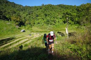 BIB: 
                            <button type="button" onclick="openModal(19099147)" class="btn btn-primary btn-sm float-right btn-popup" data-toggle="modal" data-target=".modal-high-quality">
                        <i class="fas fa-shopping-cart"></i> Add to Cart
                    </button>
                                            <button type="button" onclick="isThisMe(19099147, true)" class="btn btn-success btn-sm float-right btn-popup btn-isme hidden" data-toggle="tooltip" data-placement="bottom" title="นี่คือรูปของคุณใช่ไหม คลิกที่นี่เพื่อเอาเข้าอัลบั้ม">
                        <i class="fas fa-plus"></i> Add to album
                    </button>
                    <button type="button" onclick="isThisMe(19099147, false)" class="btn btn-warning btn-sm float-right btn-popup btn-isnotme hidden">
                        <i class="fas fa-ban"></i> Remove from album
                    </button>