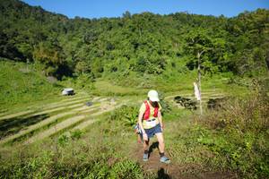 BIB: 
                            <button type="button" onclick="openModal(19071186)" class="btn btn-primary btn-sm float-right btn-popup" data-toggle="modal" data-target=".modal-high-quality">
                        <i class="fas fa-shopping-cart"></i> Add to Cart
                    </button>
                                            <button type="button" onclick="isThisMe(19071186, true)" class="btn btn-success btn-sm float-right btn-popup btn-isme hidden" data-toggle="tooltip" data-placement="bottom" title="นี่คือรูปของคุณใช่ไหม คลิกที่นี่เพื่อเอาเข้าอัลบั้ม">
                        <i class="fas fa-plus"></i> Add to album
                    </button>
                    <button type="button" onclick="isThisMe(19071186, false)" class="btn btn-warning btn-sm float-right btn-popup btn-isnotme hidden">
                        <i class="fas fa-ban"></i> Remove from album
                    </button>