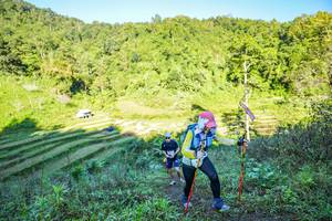 BIB: 
                            <button type="button" onclick="openModal(19348304)" class="btn btn-primary btn-sm float-right btn-popup" data-toggle="modal" data-target=".modal-high-quality">
                        <i class="fas fa-shopping-cart"></i> Add to Cart
                    </button>
                                            <button type="button" onclick="isThisMe(19348304, true)" class="btn btn-success btn-sm float-right btn-popup btn-isme hidden" data-toggle="tooltip" data-placement="bottom" title="นี่คือรูปของคุณใช่ไหม คลิกที่นี่เพื่อเอาเข้าอัลบั้ม">
                        <i class="fas fa-plus"></i> Add to album
                    </button>
                    <button type="button" onclick="isThisMe(19348304, false)" class="btn btn-warning btn-sm float-right btn-popup btn-isnotme hidden">
                        <i class="fas fa-ban"></i> Remove from album
                    </button>