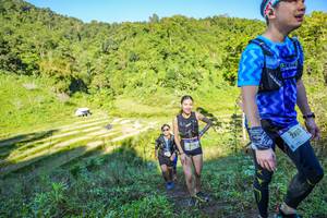 BIB: 2730
                            <button type="button" onclick="openModal(19349265)" class="btn btn-primary btn-sm float-right btn-popup" data-toggle="modal" data-target=".modal-high-quality">
                        <i class="fas fa-shopping-cart"></i> Add to Cart
                    </button>
                                            <button type="button" onclick="isThisMe(19349265, true)" class="btn btn-success btn-sm float-right btn-popup btn-isme hidden" data-toggle="tooltip" data-placement="bottom" title="นี่คือรูปของคุณใช่ไหม คลิกที่นี่เพื่อเอาเข้าอัลบั้ม">
                        <i class="fas fa-plus"></i> Add to album
                    </button>
                    <button type="button" onclick="isThisMe(19349265, false)" class="btn btn-warning btn-sm float-right btn-popup btn-isnotme hidden">
                        <i class="fas fa-ban"></i> Remove from album
                    </button>