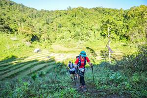 BIB: 
                            <button type="button" onclick="openModal(19348631)" class="btn btn-primary btn-sm float-right btn-popup" data-toggle="modal" data-target=".modal-high-quality">
                        <i class="fas fa-shopping-cart"></i> Add to Cart
                    </button>
                                            <button type="button" onclick="isThisMe(19348631, true)" class="btn btn-success btn-sm float-right btn-popup btn-isme hidden" data-toggle="tooltip" data-placement="bottom" title="นี่คือรูปของคุณใช่ไหม คลิกที่นี่เพื่อเอาเข้าอัลบั้ม">
                        <i class="fas fa-plus"></i> Add to album
                    </button>
                    <button type="button" onclick="isThisMe(19348631, false)" class="btn btn-warning btn-sm float-right btn-popup btn-isnotme hidden">
                        <i class="fas fa-ban"></i> Remove from album
                    </button>