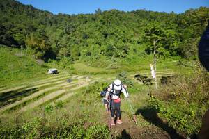 BIB: 
                            <button type="button" onclick="openModal(19106259)" class="btn btn-primary btn-sm float-right btn-popup" data-toggle="modal" data-target=".modal-high-quality">
                        <i class="fas fa-shopping-cart"></i> Add to Cart
                    </button>
                                            <button type="button" onclick="isThisMe(19106259, true)" class="btn btn-success btn-sm float-right btn-popup btn-isme hidden" data-toggle="tooltip" data-placement="bottom" title="นี่คือรูปของคุณใช่ไหม คลิกที่นี่เพื่อเอาเข้าอัลบั้ม">
                        <i class="fas fa-plus"></i> Add to album
                    </button>
                    <button type="button" onclick="isThisMe(19106259, false)" class="btn btn-warning btn-sm float-right btn-popup btn-isnotme hidden">
                        <i class="fas fa-ban"></i> Remove from album
                    </button>