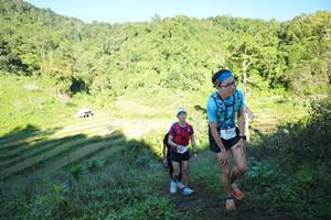 BIB: 2005
                            <button type="button" onclick="openModal(19079804)" class="btn btn-primary btn-sm float-right btn-popup" data-toggle="modal" data-target=".modal-high-quality">
                        <i class="fas fa-shopping-cart"></i> Add to Cart
                    </button>
                                            <button type="button" onclick="isThisMe(19079804, true)" class="btn btn-success btn-sm float-right btn-popup btn-isme hidden" data-toggle="tooltip" data-placement="bottom" title="นี่คือรูปของคุณใช่ไหม คลิกที่นี่เพื่อเอาเข้าอัลบั้ม">
                        <i class="fas fa-plus"></i> Add to album
                    </button>
                    <button type="button" onclick="isThisMe(19079804, false)" class="btn btn-warning btn-sm float-right btn-popup btn-isnotme hidden">
                        <i class="fas fa-ban"></i> Remove from album
                    </button>