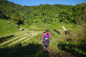 BIB: 
                            <button type="button" onclick="openModal(19096751)" class="btn btn-primary btn-sm float-right btn-popup" data-toggle="modal" data-target=".modal-high-quality">
                        <i class="fas fa-shopping-cart"></i> Add to Cart
                    </button>
                                            <button type="button" onclick="isThisMe(19096751, true)" class="btn btn-success btn-sm float-right btn-popup btn-isme hidden" data-toggle="tooltip" data-placement="bottom" title="นี่คือรูปของคุณใช่ไหม คลิกที่นี่เพื่อเอาเข้าอัลบั้ม">
                        <i class="fas fa-plus"></i> Add to album
                    </button>
                    <button type="button" onclick="isThisMe(19096751, false)" class="btn btn-warning btn-sm float-right btn-popup btn-isnotme hidden">
                        <i class="fas fa-ban"></i> Remove from album
                    </button>