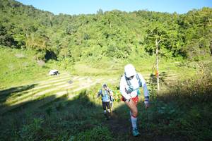 BIB: 
                            <button type="button" onclick="openModal(19085445)" class="btn btn-primary btn-sm float-right btn-popup" data-toggle="modal" data-target=".modal-high-quality">
                        <i class="fas fa-shopping-cart"></i> Add to Cart
                    </button>
                                            <button type="button" onclick="isThisMe(19085445, true)" class="btn btn-success btn-sm float-right btn-popup btn-isme hidden" data-toggle="tooltip" data-placement="bottom" title="นี่คือรูปของคุณใช่ไหม คลิกที่นี่เพื่อเอาเข้าอัลบั้ม">
                        <i class="fas fa-plus"></i> Add to album
                    </button>
                    <button type="button" onclick="isThisMe(19085445, false)" class="btn btn-warning btn-sm float-right btn-popup btn-isnotme hidden">
                        <i class="fas fa-ban"></i> Remove from album
                    </button>