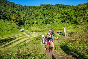 BIB: 
                            <button type="button" onclick="openModal(19351709)" class="btn btn-primary btn-sm float-right btn-popup" data-toggle="modal" data-target=".modal-high-quality">
                        <i class="fas fa-shopping-cart"></i> Add to Cart
                    </button>
                                            <button type="button" onclick="isThisMe(19351709, true)" class="btn btn-success btn-sm float-right btn-popup btn-isme hidden" data-toggle="tooltip" data-placement="bottom" title="นี่คือรูปของคุณใช่ไหม คลิกที่นี่เพื่อเอาเข้าอัลบั้ม">
                        <i class="fas fa-plus"></i> Add to album
                    </button>
                    <button type="button" onclick="isThisMe(19351709, false)" class="btn btn-warning btn-sm float-right btn-popup btn-isnotme hidden">
                        <i class="fas fa-ban"></i> Remove from album
                    </button>