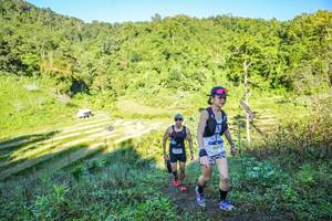 BIB: 
                            <button type="button" onclick="openModal(19349174)" class="btn btn-primary btn-sm float-right btn-popup" data-toggle="modal" data-target=".modal-high-quality">
                        <i class="fas fa-shopping-cart"></i> Add to Cart
                    </button>
                                            <button type="button" onclick="isThisMe(19349174, true)" class="btn btn-success btn-sm float-right btn-popup btn-isme hidden" data-toggle="tooltip" data-placement="bottom" title="นี่คือรูปของคุณใช่ไหม คลิกที่นี่เพื่อเอาเข้าอัลบั้ม">
                        <i class="fas fa-plus"></i> Add to album
                    </button>
                    <button type="button" onclick="isThisMe(19349174, false)" class="btn btn-warning btn-sm float-right btn-popup btn-isnotme hidden">
                        <i class="fas fa-ban"></i> Remove from album
                    </button>