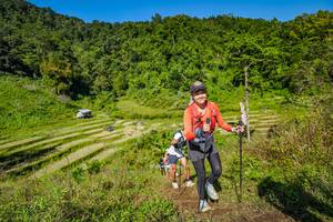 BIB: 
                            <button type="button" onclick="openModal(19344132)" class="btn btn-primary btn-sm float-right btn-popup" data-toggle="modal" data-target=".modal-high-quality">
                        <i class="fas fa-shopping-cart"></i> Add to Cart
                    </button>
                                            <button type="button" onclick="isThisMe(19344132, true)" class="btn btn-success btn-sm float-right btn-popup btn-isme hidden" data-toggle="tooltip" data-placement="bottom" title="นี่คือรูปของคุณใช่ไหม คลิกที่นี่เพื่อเอาเข้าอัลบั้ม">
                        <i class="fas fa-plus"></i> Add to album
                    </button>
                    <button type="button" onclick="isThisMe(19344132, false)" class="btn btn-warning btn-sm float-right btn-popup btn-isnotme hidden">
                        <i class="fas fa-ban"></i> Remove from album
                    </button>