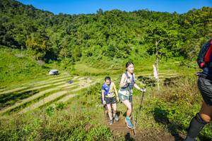 BIB: 
                            <button type="button" onclick="openModal(19351655)" class="btn btn-primary btn-sm float-right btn-popup" data-toggle="modal" data-target=".modal-high-quality">
                        <i class="fas fa-shopping-cart"></i> Add to Cart
                    </button>
                                            <button type="button" onclick="isThisMe(19351655, true)" class="btn btn-success btn-sm float-right btn-popup btn-isme hidden" data-toggle="tooltip" data-placement="bottom" title="นี่คือรูปของคุณใช่ไหม คลิกที่นี่เพื่อเอาเข้าอัลบั้ม">
                        <i class="fas fa-plus"></i> Add to album
                    </button>
                    <button type="button" onclick="isThisMe(19351655, false)" class="btn btn-warning btn-sm float-right btn-popup btn-isnotme hidden">
                        <i class="fas fa-ban"></i> Remove from album
                    </button>