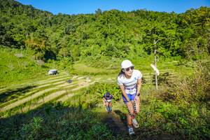 BIB: 
                            <button type="button" onclick="openModal(19350052)" class="btn btn-primary btn-sm float-right btn-popup" data-toggle="modal" data-target=".modal-high-quality">
                        <i class="fas fa-shopping-cart"></i> Add to Cart
                    </button>
                                            <button type="button" onclick="isThisMe(19350052, true)" class="btn btn-success btn-sm float-right btn-popup btn-isme hidden" data-toggle="tooltip" data-placement="bottom" title="นี่คือรูปของคุณใช่ไหม คลิกที่นี่เพื่อเอาเข้าอัลบั้ม">
                        <i class="fas fa-plus"></i> Add to album
                    </button>
                    <button type="button" onclick="isThisMe(19350052, false)" class="btn btn-warning btn-sm float-right btn-popup btn-isnotme hidden">
                        <i class="fas fa-ban"></i> Remove from album
                    </button>