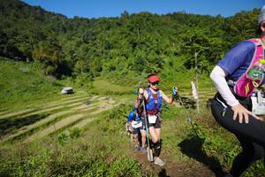 BIB: 
                            <button type="button" onclick="openModal(19075677)" class="btn btn-primary btn-sm float-right btn-popup" data-toggle="modal" data-target=".modal-high-quality">
                        <i class="fas fa-shopping-cart"></i> Add to Cart
                    </button>
                                            <button type="button" onclick="isThisMe(19075677, true)" class="btn btn-success btn-sm float-right btn-popup btn-isme hidden" data-toggle="tooltip" data-placement="bottom" title="นี่คือรูปของคุณใช่ไหม คลิกที่นี่เพื่อเอาเข้าอัลบั้ม">
                        <i class="fas fa-plus"></i> Add to album
                    </button>
                    <button type="button" onclick="isThisMe(19075677, false)" class="btn btn-warning btn-sm float-right btn-popup btn-isnotme hidden">
                        <i class="fas fa-ban"></i> Remove from album
                    </button>