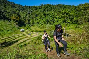 BIB: 
                            <button type="button" onclick="openModal(19345268)" class="btn btn-primary btn-sm float-right btn-popup" data-toggle="modal" data-target=".modal-high-quality">
                        <i class="fas fa-shopping-cart"></i> Add to Cart
                    </button>
                                            <button type="button" onclick="isThisMe(19345268, true)" class="btn btn-success btn-sm float-right btn-popup btn-isme hidden" data-toggle="tooltip" data-placement="bottom" title="นี่คือรูปของคุณใช่ไหม คลิกที่นี่เพื่อเอาเข้าอัลบั้ม">
                        <i class="fas fa-plus"></i> Add to album
                    </button>
                    <button type="button" onclick="isThisMe(19345268, false)" class="btn btn-warning btn-sm float-right btn-popup btn-isnotme hidden">
                        <i class="fas fa-ban"></i> Remove from album
                    </button>