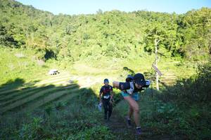 BIB: 
                            <button type="button" onclick="openModal(19078531)" class="btn btn-primary btn-sm float-right btn-popup" data-toggle="modal" data-target=".modal-high-quality">
                        <i class="fas fa-shopping-cart"></i> Add to Cart
                    </button>
                                            <button type="button" onclick="isThisMe(19078531, true)" class="btn btn-success btn-sm float-right btn-popup btn-isme hidden" data-toggle="tooltip" data-placement="bottom" title="นี่คือรูปของคุณใช่ไหม คลิกที่นี่เพื่อเอาเข้าอัลบั้ม">
                        <i class="fas fa-plus"></i> Add to album
                    </button>
                    <button type="button" onclick="isThisMe(19078531, false)" class="btn btn-warning btn-sm float-right btn-popup btn-isnotme hidden">
                        <i class="fas fa-ban"></i> Remove from album
                    </button>