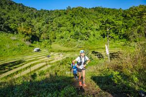 BIB: 
                            <button type="button" onclick="openModal(19350657)" class="btn btn-primary btn-sm float-right btn-popup" data-toggle="modal" data-target=".modal-high-quality">
                        <i class="fas fa-shopping-cart"></i> Add to Cart
                    </button>
                                            <button type="button" onclick="isThisMe(19350657, true)" class="btn btn-success btn-sm float-right btn-popup btn-isme hidden" data-toggle="tooltip" data-placement="bottom" title="นี่คือรูปของคุณใช่ไหม คลิกที่นี่เพื่อเอาเข้าอัลบั้ม">
                        <i class="fas fa-plus"></i> Add to album
                    </button>
                    <button type="button" onclick="isThisMe(19350657, false)" class="btn btn-warning btn-sm float-right btn-popup btn-isnotme hidden">
                        <i class="fas fa-ban"></i> Remove from album
                    </button>