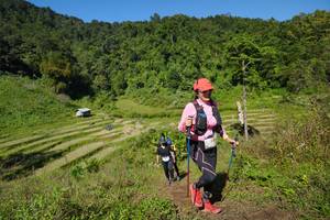 BIB: 
                            <button type="button" onclick="openModal(19097232)" class="btn btn-primary btn-sm float-right btn-popup" data-toggle="modal" data-target=".modal-high-quality">
                        <i class="fas fa-shopping-cart"></i> Add to Cart
                    </button>
                                            <button type="button" onclick="isThisMe(19097232, true)" class="btn btn-success btn-sm float-right btn-popup btn-isme hidden" data-toggle="tooltip" data-placement="bottom" title="นี่คือรูปของคุณใช่ไหม คลิกที่นี่เพื่อเอาเข้าอัลบั้ม">
                        <i class="fas fa-plus"></i> Add to album
                    </button>
                    <button type="button" onclick="isThisMe(19097232, false)" class="btn btn-warning btn-sm float-right btn-popup btn-isnotme hidden">
                        <i class="fas fa-ban"></i> Remove from album
                    </button>