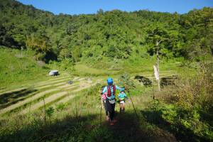 BIB: 
                            <button type="button" onclick="openModal(19100577)" class="btn btn-primary btn-sm float-right btn-popup" data-toggle="modal" data-target=".modal-high-quality">
                        <i class="fas fa-shopping-cart"></i> Add to Cart
                    </button>
                                            <button type="button" onclick="isThisMe(19100577, true)" class="btn btn-success btn-sm float-right btn-popup btn-isme hidden" data-toggle="tooltip" data-placement="bottom" title="นี่คือรูปของคุณใช่ไหม คลิกที่นี่เพื่อเอาเข้าอัลบั้ม">
                        <i class="fas fa-plus"></i> Add to album
                    </button>
                    <button type="button" onclick="isThisMe(19100577, false)" class="btn btn-warning btn-sm float-right btn-popup btn-isnotme hidden">
                        <i class="fas fa-ban"></i> Remove from album
                    </button>