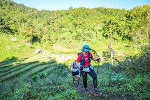 BIB: 299, 9341
                            <button type="button" onclick="openModal(19348634)" class="btn btn-primary btn-sm float-right btn-popup" data-toggle="modal" data-target=".modal-high-quality">
                        <i class="fas fa-shopping-cart"></i> Add to Cart
                    </button>
                                            <button type="button" onclick="isThisMe(19348634, true)" class="btn btn-success btn-sm float-right btn-popup btn-isme hidden" data-toggle="tooltip" data-placement="bottom" title="นี่คือรูปของคุณใช่ไหม คลิกที่นี่เพื่อเอาเข้าอัลบั้ม">
                        <i class="fas fa-plus"></i> Add to album
                    </button>
                    <button type="button" onclick="isThisMe(19348634, false)" class="btn btn-warning btn-sm float-right btn-popup btn-isnotme hidden">
                        <i class="fas fa-ban"></i> Remove from album
                    </button>