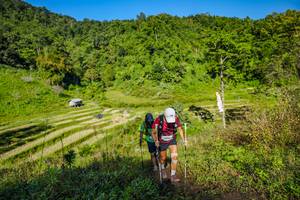 BIB: 
                            <button type="button" onclick="openModal(19350732)" class="btn btn-primary btn-sm float-right btn-popup" data-toggle="modal" data-target=".modal-high-quality">
                        <i class="fas fa-shopping-cart"></i> Add to Cart
                    </button>
                                            <button type="button" onclick="isThisMe(19350732, true)" class="btn btn-success btn-sm float-right btn-popup btn-isme hidden" data-toggle="tooltip" data-placement="bottom" title="นี่คือรูปของคุณใช่ไหม คลิกที่นี่เพื่อเอาเข้าอัลบั้ม">
                        <i class="fas fa-plus"></i> Add to album
                    </button>
                    <button type="button" onclick="isThisMe(19350732, false)" class="btn btn-warning btn-sm float-right btn-popup btn-isnotme hidden">
                        <i class="fas fa-ban"></i> Remove from album
                    </button>