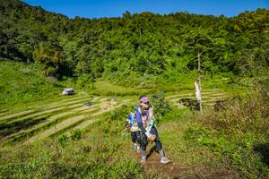 BIB: 
                            <button type="button" onclick="openModal(19352760)" class="btn btn-primary btn-sm float-right btn-popup" data-toggle="modal" data-target=".modal-high-quality">
                        <i class="fas fa-shopping-cart"></i> Add to Cart
                    </button>
                                            <button type="button" onclick="isThisMe(19352760, true)" class="btn btn-success btn-sm float-right btn-popup btn-isme hidden" data-toggle="tooltip" data-placement="bottom" title="นี่คือรูปของคุณใช่ไหม คลิกที่นี่เพื่อเอาเข้าอัลบั้ม">
                        <i class="fas fa-plus"></i> Add to album
                    </button>
                    <button type="button" onclick="isThisMe(19352760, false)" class="btn btn-warning btn-sm float-right btn-popup btn-isnotme hidden">
                        <i class="fas fa-ban"></i> Remove from album
                    </button>