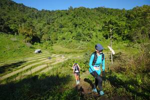 BIB: 
                            <button type="button" onclick="openModal(19094312)" class="btn btn-primary btn-sm float-right btn-popup" data-toggle="modal" data-target=".modal-high-quality">
                        <i class="fas fa-shopping-cart"></i> Add to Cart
                    </button>
                                            <button type="button" onclick="isThisMe(19094312, true)" class="btn btn-success btn-sm float-right btn-popup btn-isme hidden" data-toggle="tooltip" data-placement="bottom" title="นี่คือรูปของคุณใช่ไหม คลิกที่นี่เพื่อเอาเข้าอัลบั้ม">
                        <i class="fas fa-plus"></i> Add to album
                    </button>
                    <button type="button" onclick="isThisMe(19094312, false)" class="btn btn-warning btn-sm float-right btn-popup btn-isnotme hidden">
                        <i class="fas fa-ban"></i> Remove from album
                    </button>