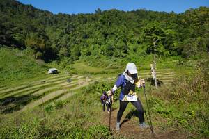 BIB: 
                            <button type="button" onclick="openModal(19095203)" class="btn btn-primary btn-sm float-right btn-popup" data-toggle="modal" data-target=".modal-high-quality">
                        <i class="fas fa-shopping-cart"></i> Add to Cart
                    </button>
                                            <button type="button" onclick="isThisMe(19095203, true)" class="btn btn-success btn-sm float-right btn-popup btn-isme hidden" data-toggle="tooltip" data-placement="bottom" title="นี่คือรูปของคุณใช่ไหม คลิกที่นี่เพื่อเอาเข้าอัลบั้ม">
                        <i class="fas fa-plus"></i> Add to album
                    </button>
                    <button type="button" onclick="isThisMe(19095203, false)" class="btn btn-warning btn-sm float-right btn-popup btn-isnotme hidden">
                        <i class="fas fa-ban"></i> Remove from album
                    </button>