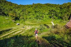 BIB: 
                            <button type="button" onclick="openModal(19350162)" class="btn btn-primary btn-sm float-right btn-popup" data-toggle="modal" data-target=".modal-high-quality">
                        <i class="fas fa-shopping-cart"></i> Add to Cart
                    </button>
                                            <button type="button" onclick="isThisMe(19350162, true)" class="btn btn-success btn-sm float-right btn-popup btn-isme hidden" data-toggle="tooltip" data-placement="bottom" title="นี่คือรูปของคุณใช่ไหม คลิกที่นี่เพื่อเอาเข้าอัลบั้ม">
                        <i class="fas fa-plus"></i> Add to album
                    </button>
                    <button type="button" onclick="isThisMe(19350162, false)" class="btn btn-warning btn-sm float-right btn-popup btn-isnotme hidden">
                        <i class="fas fa-ban"></i> Remove from album
                    </button>